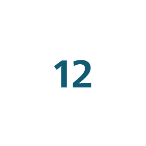 12 icon