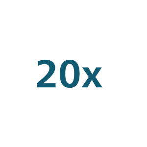 20x Icon